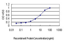 GUCY2D Antibody in ELISA (ELISA)