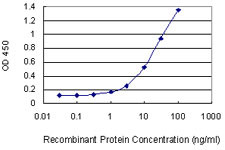 GZMB Antibody in ELISA (ELISA)