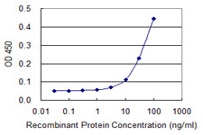 HBG1 Antibody in ELISA (ELISA)