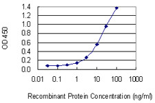 HELLS Antibody in ELISA (ELISA)