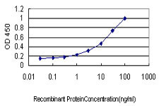 HHEX Antibody in ELISA (ELISA)