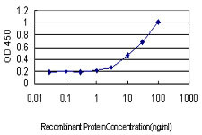 HHEX Antibody in ELISA (ELISA)
