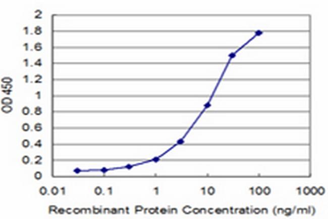 HLA-DMB Antibody in ELISA (ELISA)