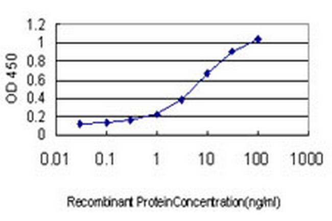 HOXC8 Antibody in ELISA (ELISA)