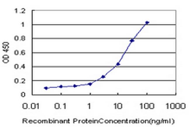 HOXC12 Antibody in ELISA (ELISA)