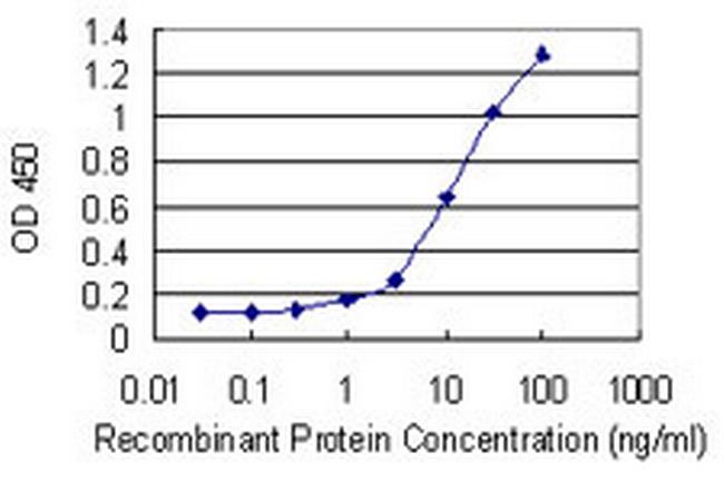 HSF4 Antibody in ELISA (ELISA)