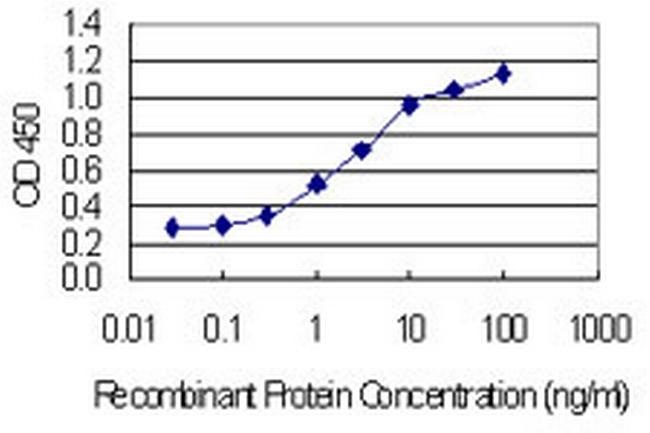 HSPA8 Antibody in ELISA (ELISA)