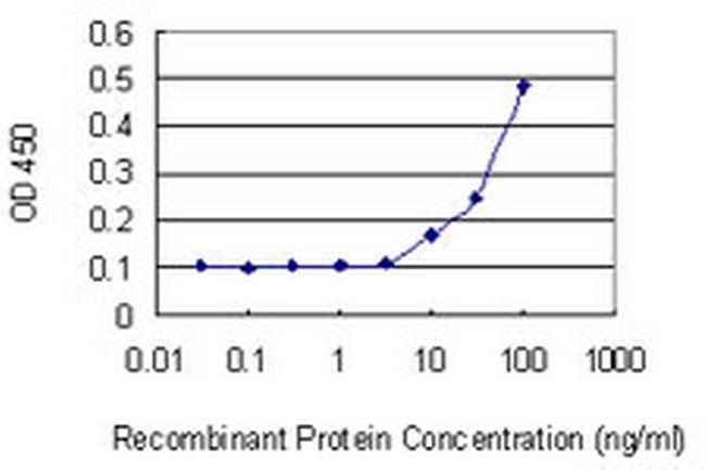 IPP Antibody in ELISA (ELISA)