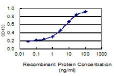 ITGAX Antibody in ELISA (ELISA)