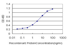 KISS1 Antibody in ELISA (ELISA)