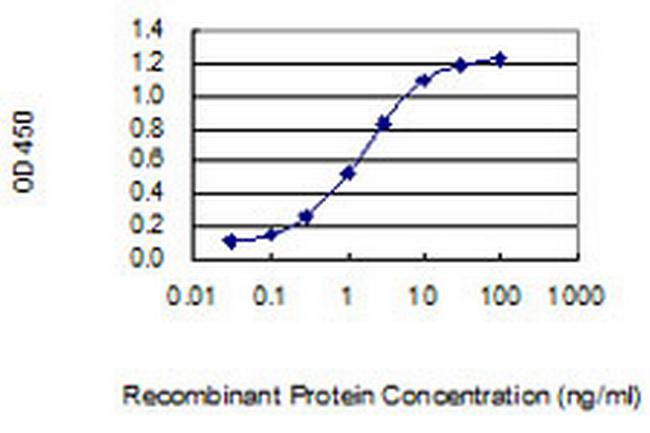 MAGEA5 Antibody in ELISA (ELISA)