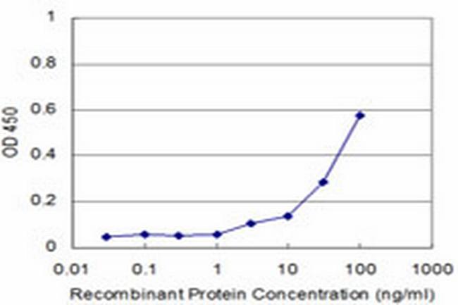 MAZ Antibody in ELISA (ELISA)