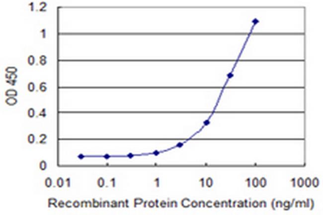 MAZ Antibody in ELISA (ELISA)