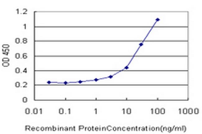 MEOX1 Antibody in ELISA (ELISA)