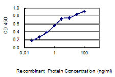SCGB2A1 Antibody in ELISA (ELISA)