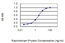 SCGB2A1 Antibody in ELISA (ELISA)