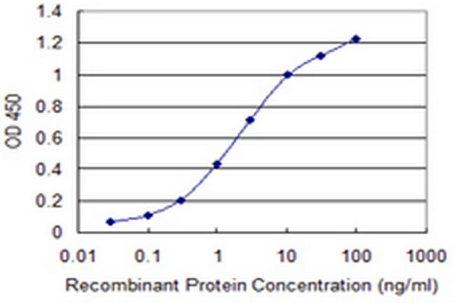 MLLT6 Antibody in ELISA (ELISA)