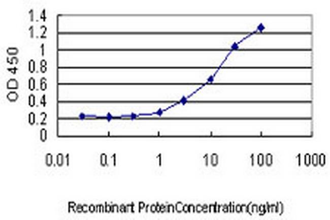 MPZ Antibody in ELISA (ELISA)
