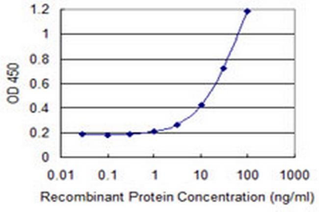 MTAP Antibody in ELISA (ELISA)