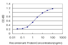 MTF1 Antibody in ELISA (ELISA)