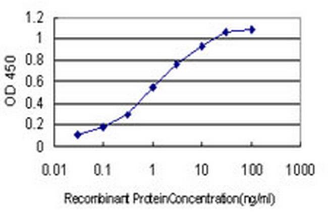 MYBPH Antibody in ELISA (ELISA)