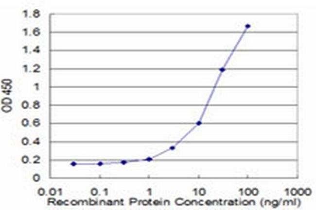 MYCN Antibody in ELISA (ELISA)