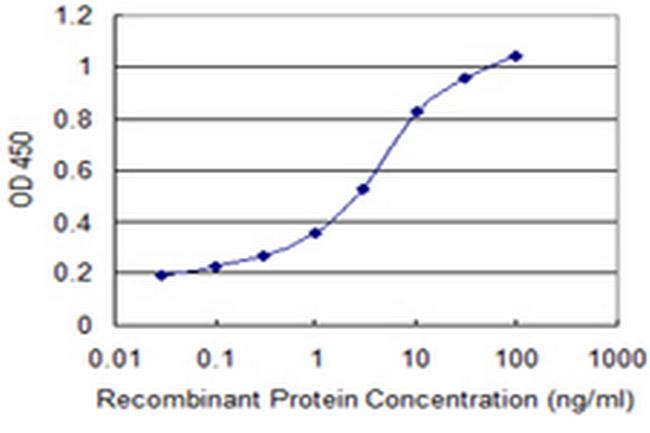 MYOD1 Antibody in ELISA (ELISA)