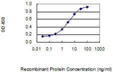 MYOG Antibody in ELISA (ELISA)