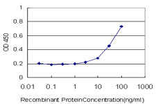 NARS Antibody in ELISA (ELISA)