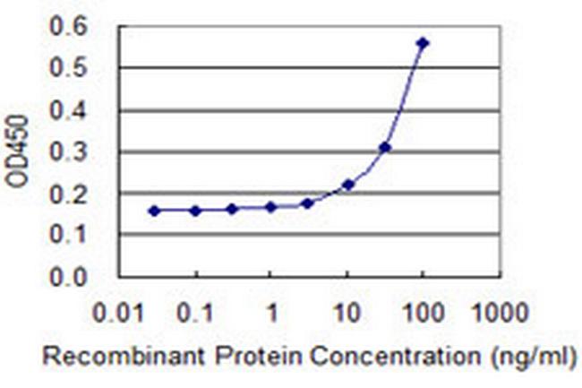 SEPT2 Antibody in ELISA (ELISA)