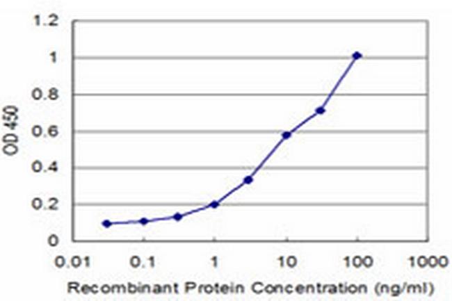 NEK2 Antibody in ELISA (ELISA)