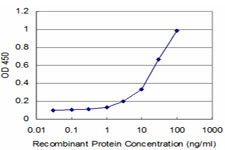 NEU2 Antibody in ELISA (ELISA)