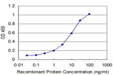 NEUROG1 Antibody in ELISA (ELISA)