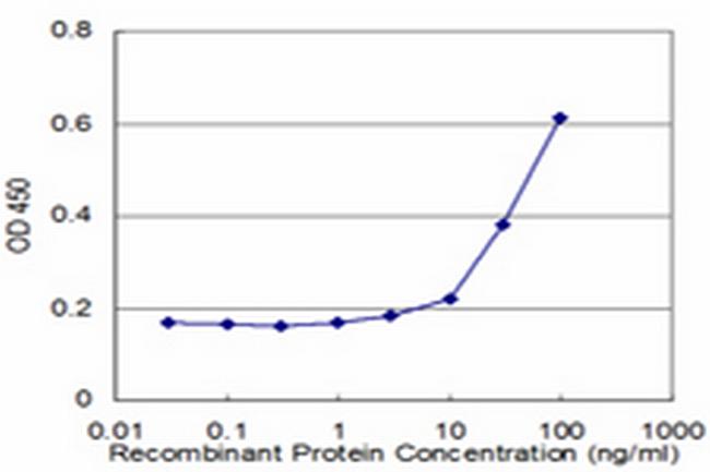 NPY Antibody in ELISA (ELISA)