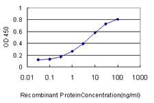 NOTCH3 Antibody in ELISA (ELISA)