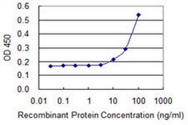 NPR2 Antibody in ELISA (ELISA)