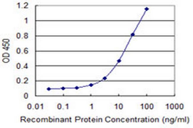 NT5E Antibody in ELISA (ELISA)