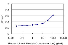 PCDH1 Antibody in ELISA (ELISA)