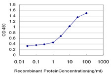 PCDHGC3 Antibody in ELISA (ELISA)