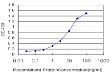PCDH7 Antibody in ELISA (ELISA)