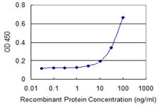 SERPINI1 Antibody in ELISA (ELISA)