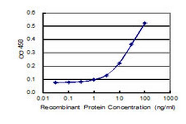 PIK3C2G Antibody in ELISA (ELISA)