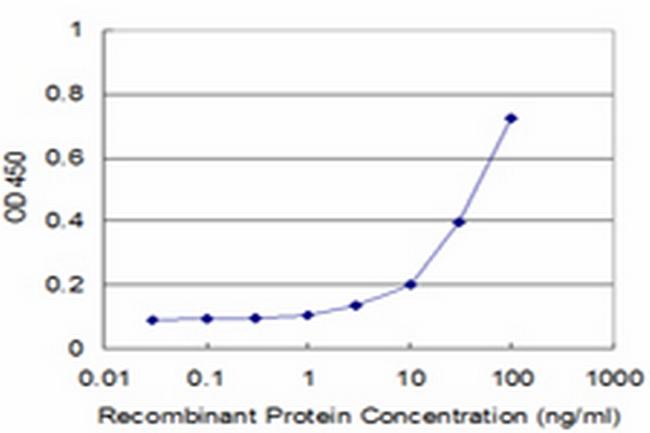 PIK4CB Antibody in ELISA (ELISA)