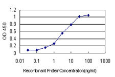 PLAUR Antibody in ELISA (ELISA)