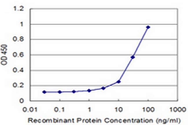 PLIN Antibody in ELISA (ELISA)
