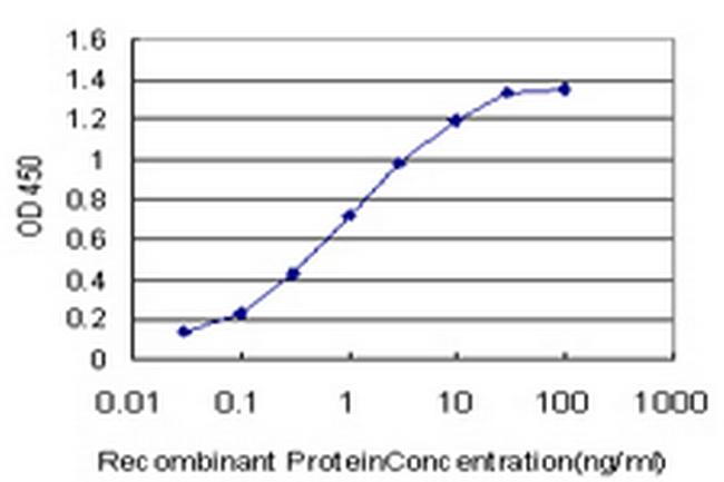 PLP1 Antibody in ELISA (ELISA)