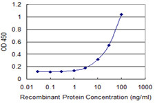 PMCH Antibody in ELISA (ELISA)