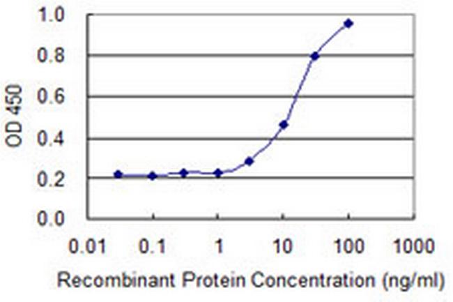 POLR2A Antibody in ELISA (ELISA)