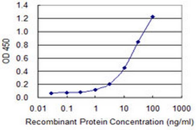 POLR2C Antibody in ELISA (ELISA)