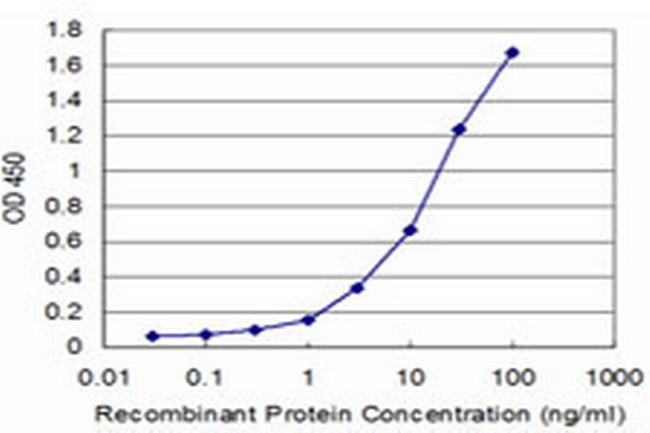 PPOX Antibody in ELISA (ELISA)